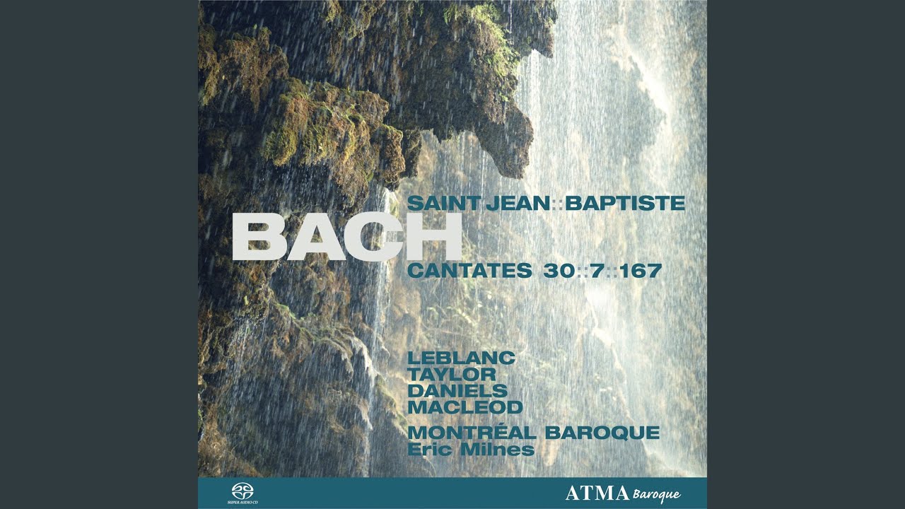 Cantata Freue dich, erlöste Schar, BWV 30: No. 2, Ich will nun hassen (Bass)