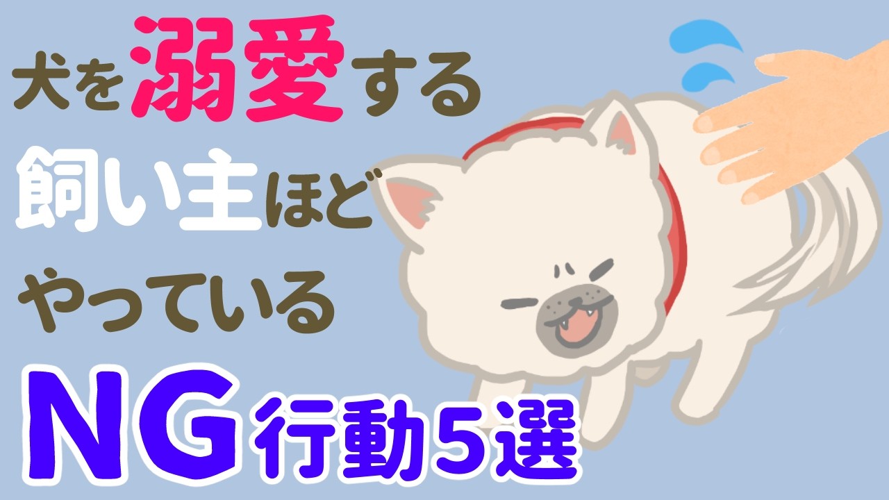 犬が迷惑に思ってる！犬好きな人ほどやってる飼い主のNG行動