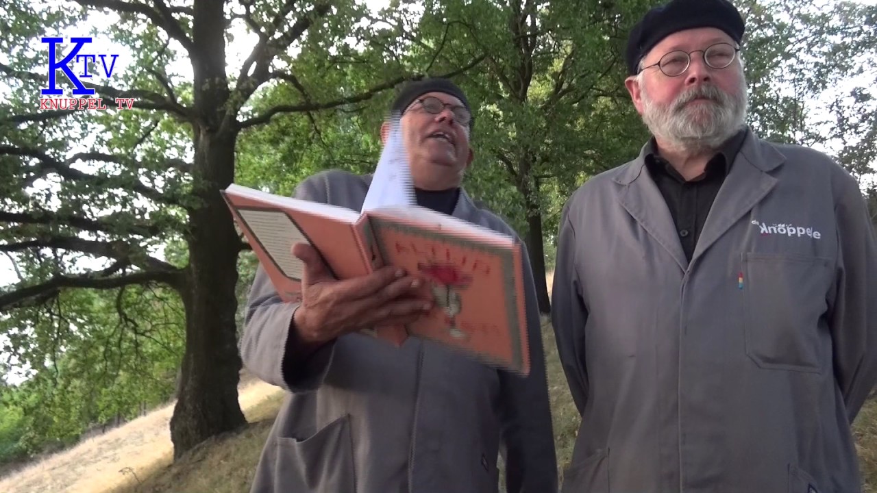 Knuppel TV 1