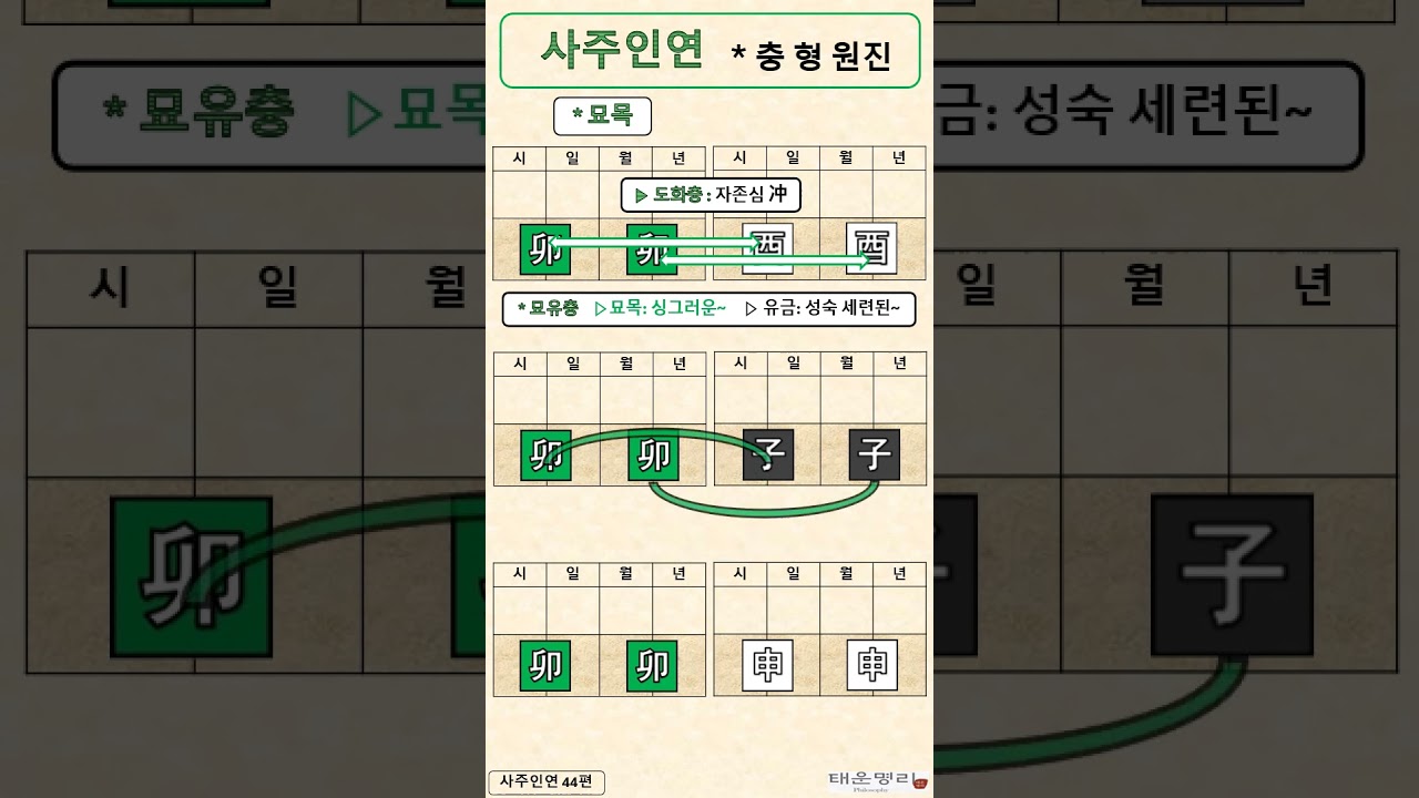 지지 묘목의 충 형 원진 / 묘유충 자묘형 묘신원진 / 사주인연 44편 / 사주명리 / 사주공부 / 사주인연 / 궁합 / 사주 궁합 / #사주명리학강의 /  #사주명리학독학