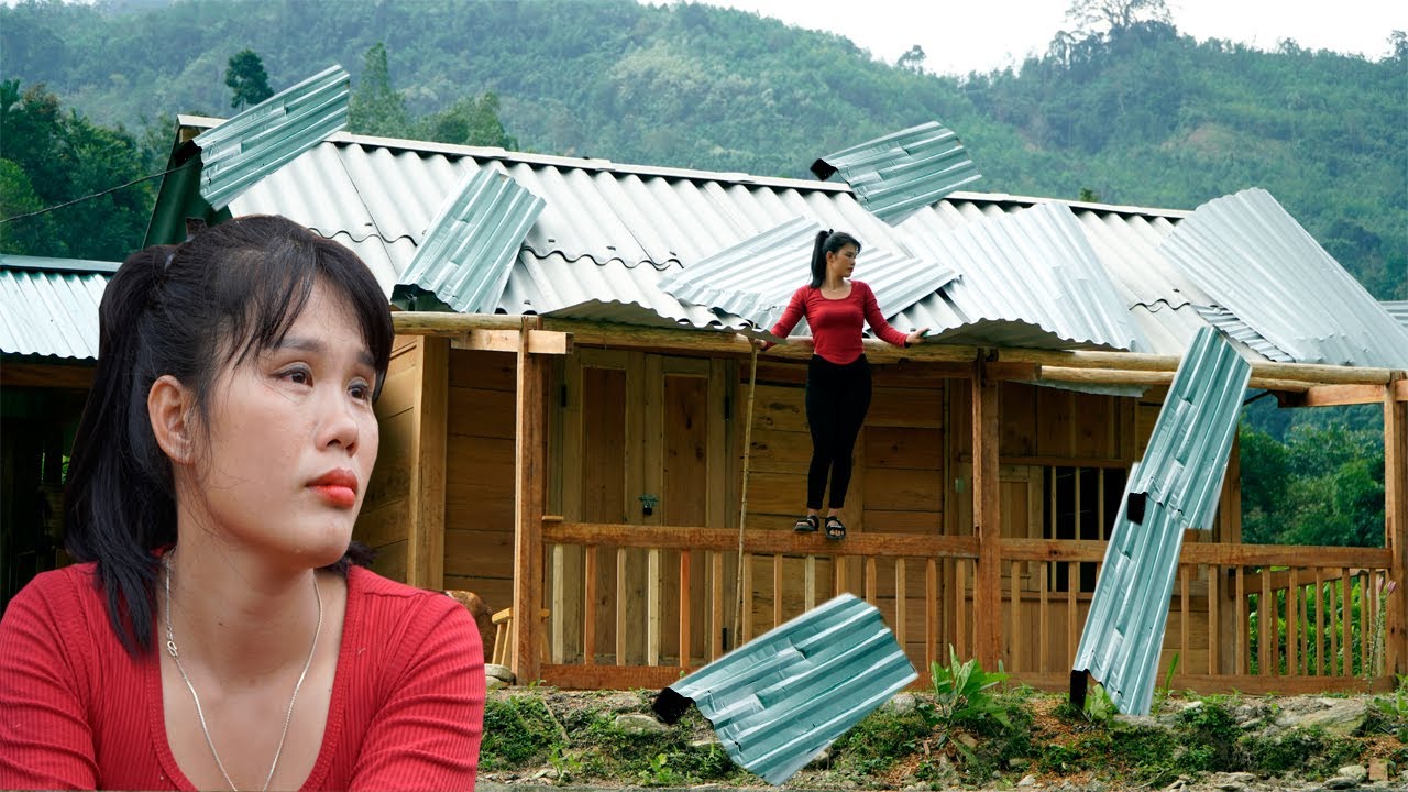The carpenter girl's house was hit by a natural disaster, the storm wind blew away the entire roof