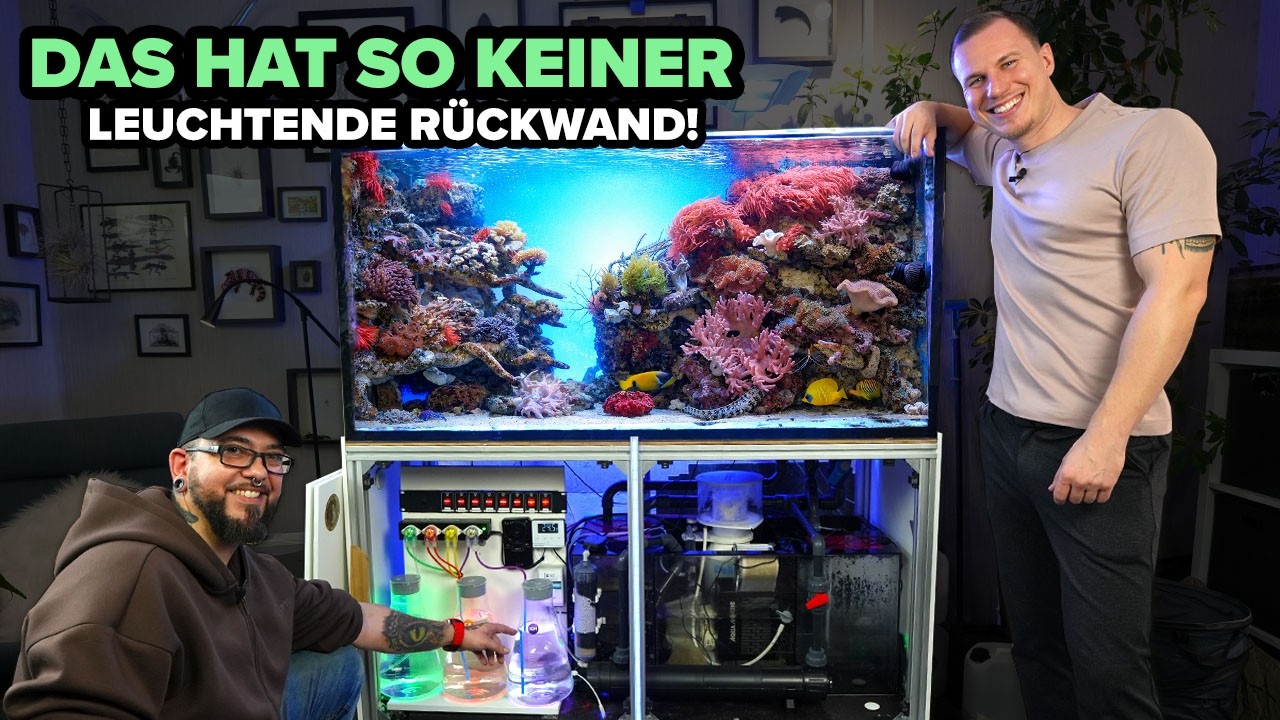 Nachbauen oder lieber nicht?! - 1300 Liter Meerwasseraquarium mit BELEUCHTETER RÜCKWAND von Sven