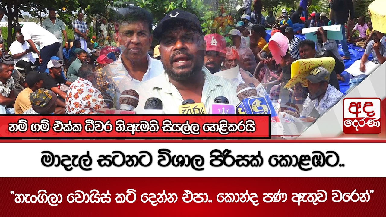 මාදැල් සටනට විශාල පිරිසක් කොළඹට.. | Ada Derana