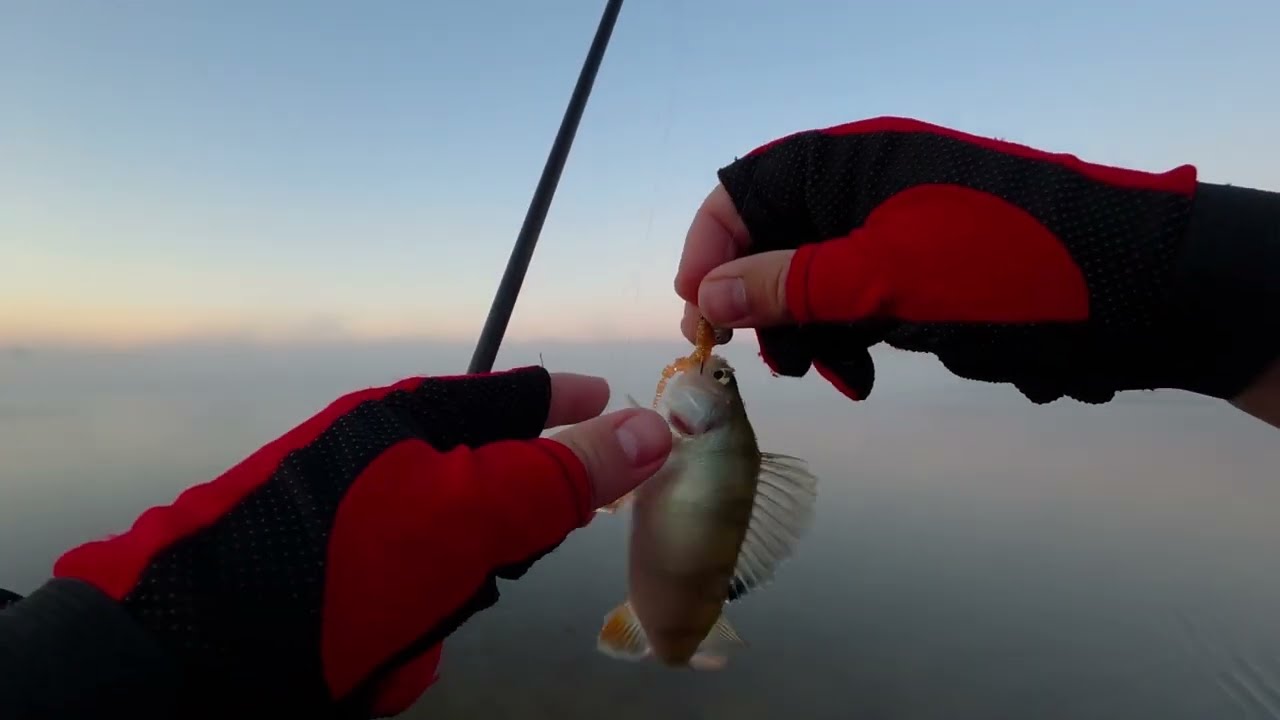 🎣Azura X-Game🎣 Осінній Окунь. Cкоріше би вже зійшов лід 🧊🎣