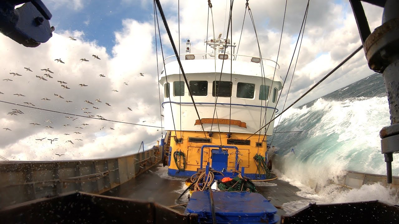 Sea life fotokalender 2022 met foto's van Pedro Rapp&eacute;