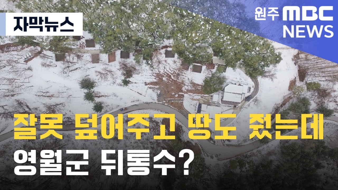 [자막뉴스] 