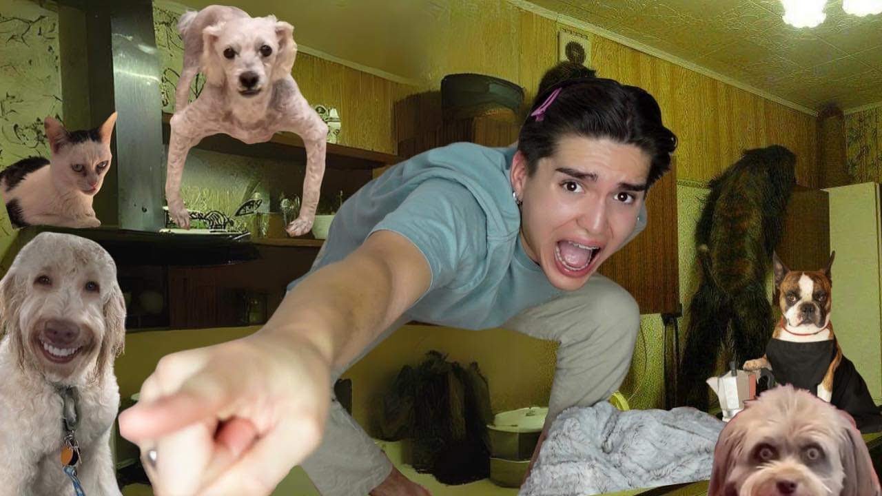 Una platiquita de mujeerrr: ANIMALES ACTUANDO COMO HUMANOS 💀🐕👹 pt.3💋