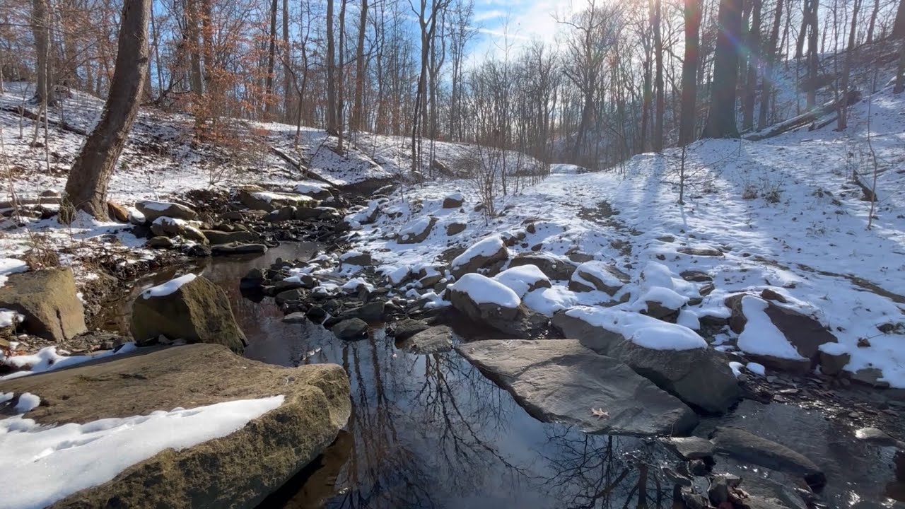 Krepps Park | Hike | Geocaches | WV - [tree climb] [stone chimney] [stream]
