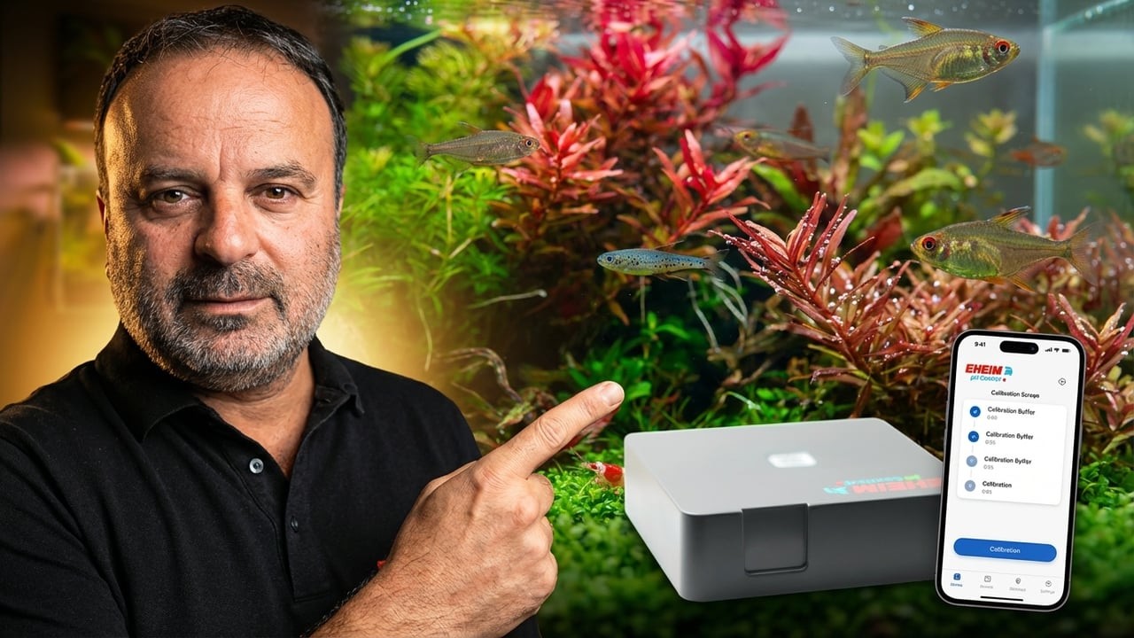 ЛЕГКОЕ регулирование pH и CO2 в АКВАРИУМЕ с помощью набора EHEIM pH Control+e