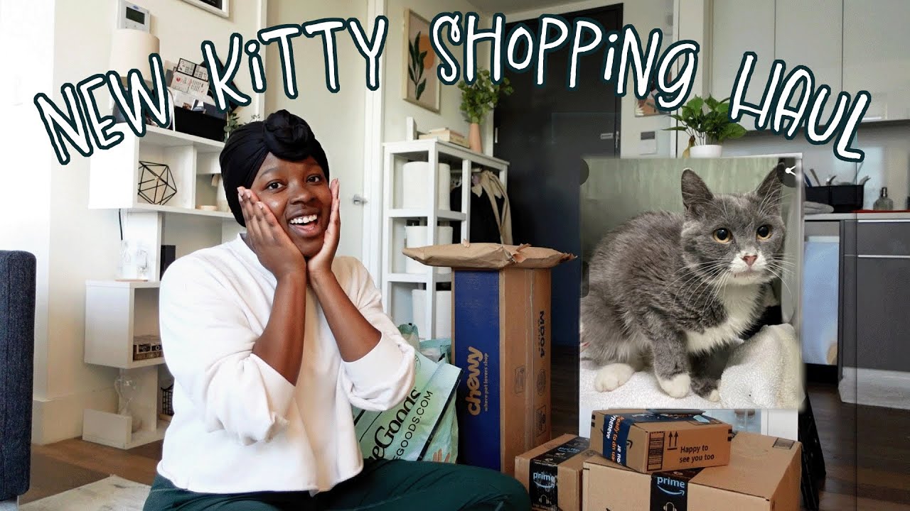 Kitty Shopping Haul l HomeGoods, Chewy's, Amazon Finds!
