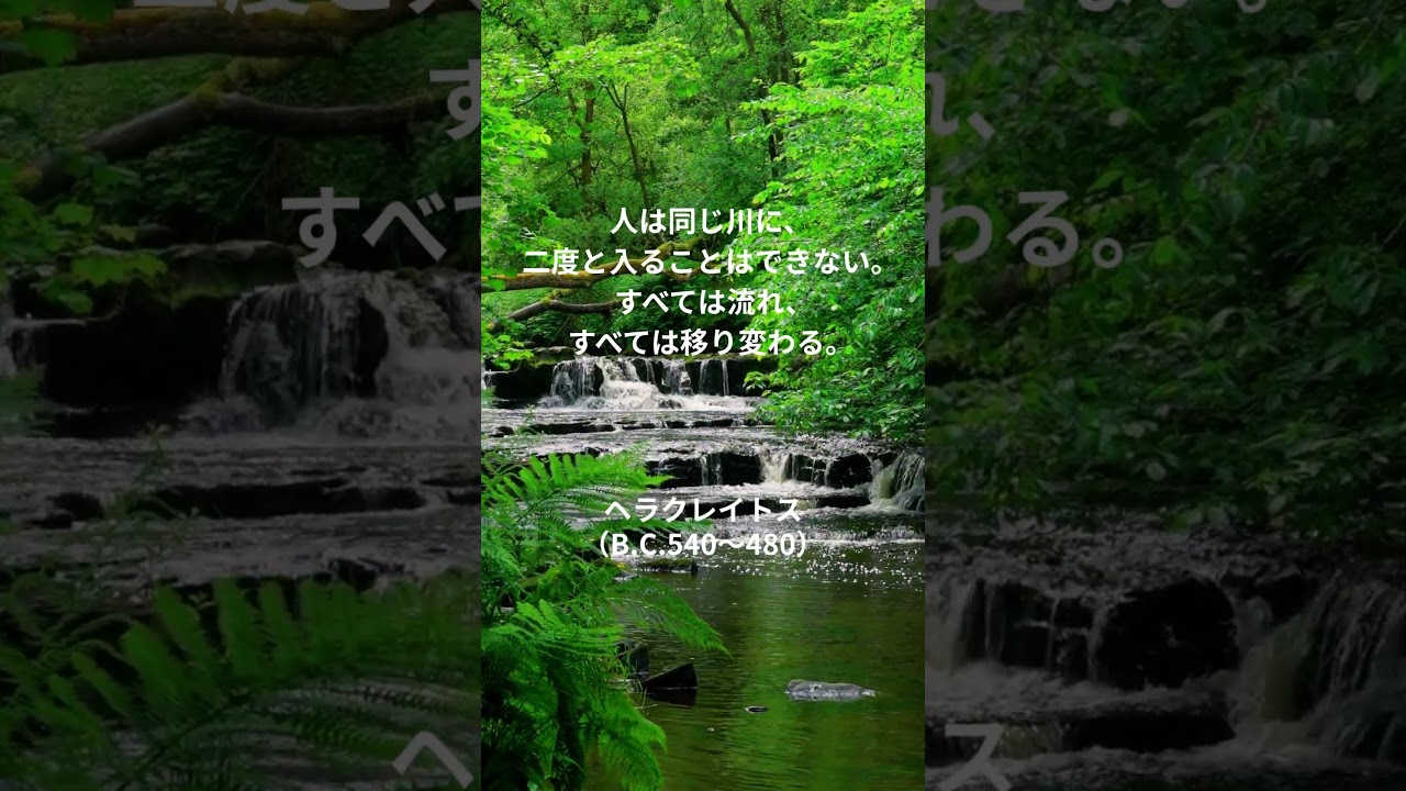 過去や未来に、 心がとらわれているあなたへ。 #哲学 #名言 #心の哲学  #モチベーション #言葉 #哲学者のことば
