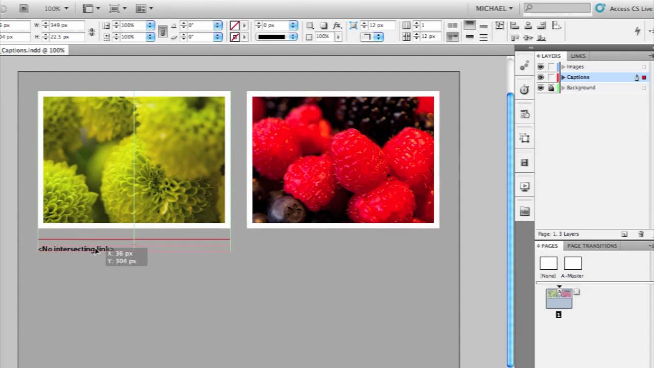 Adobe InDesign CS5:Live Caption
