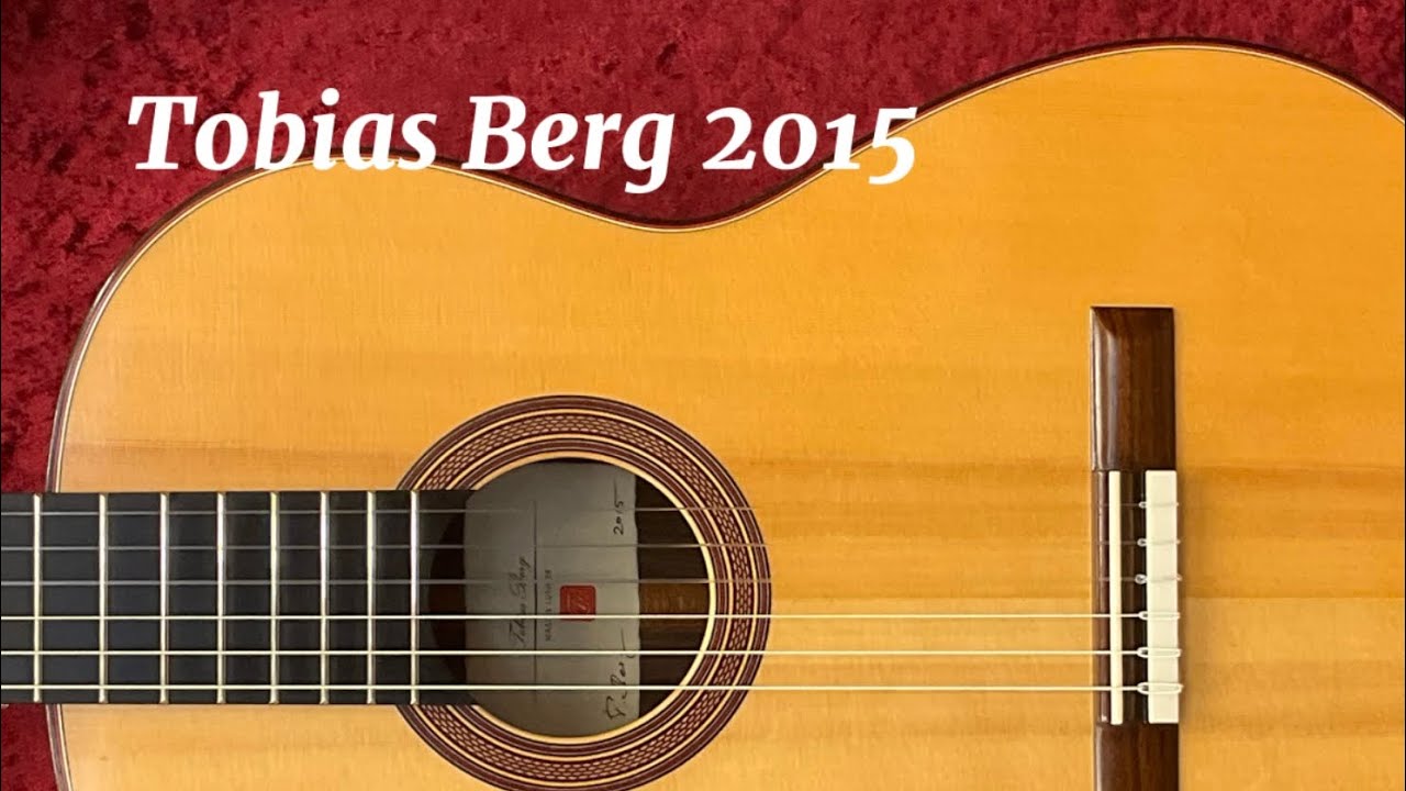 トビアス・ベルグ Tobias Berg 2015年製 ハンガリー幻想曲（メルツ）