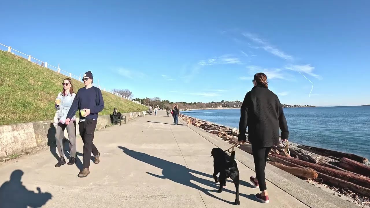 Cycling Victoria BC ,  Spring like weather - Fairfield /Gonzales , January 18th, 2026