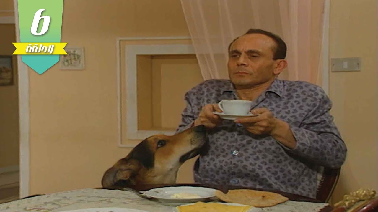مشاهد هتضحكك من قلبك😂... بصوا ازاي كانت ردة فعل ونيس لما عرف بموضوع الكلب🐕‍🦺 | يوميات ونيس