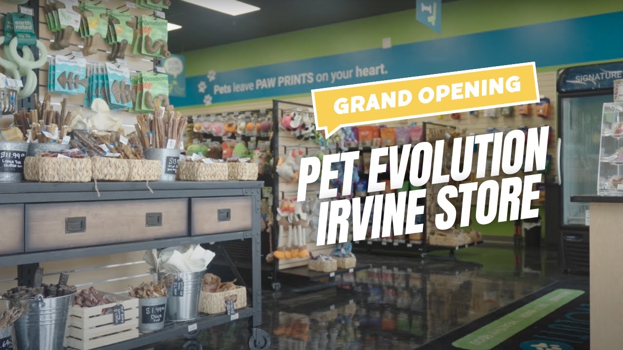 Pet Evolution Irvine Store Grand Opening   |  Waggz