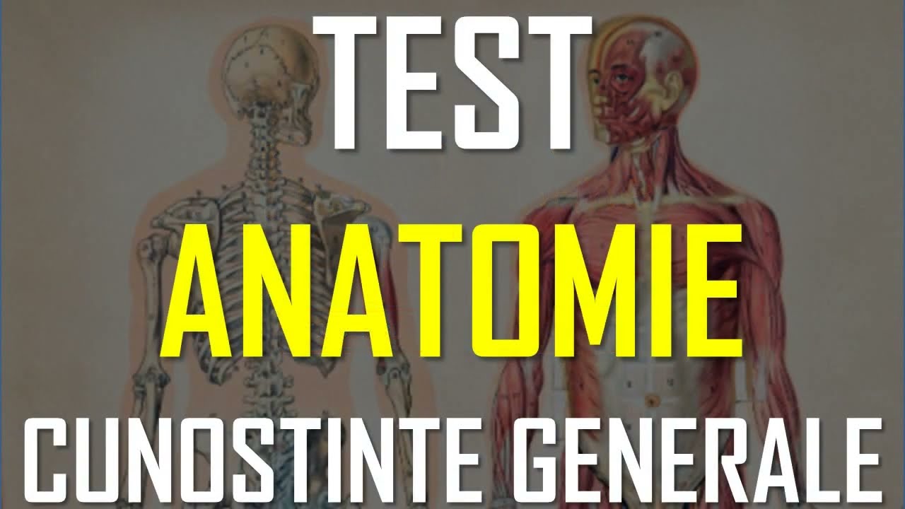 ANATOMIE Test Cunostinte Generale #formuleonline #test #culturagenerala
