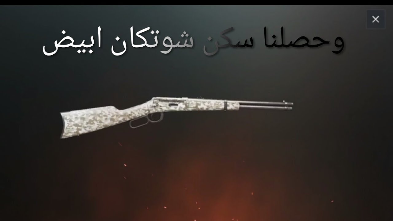 🔥جلد تيمات بسلاح شوتكان فقط | Pubg mobile