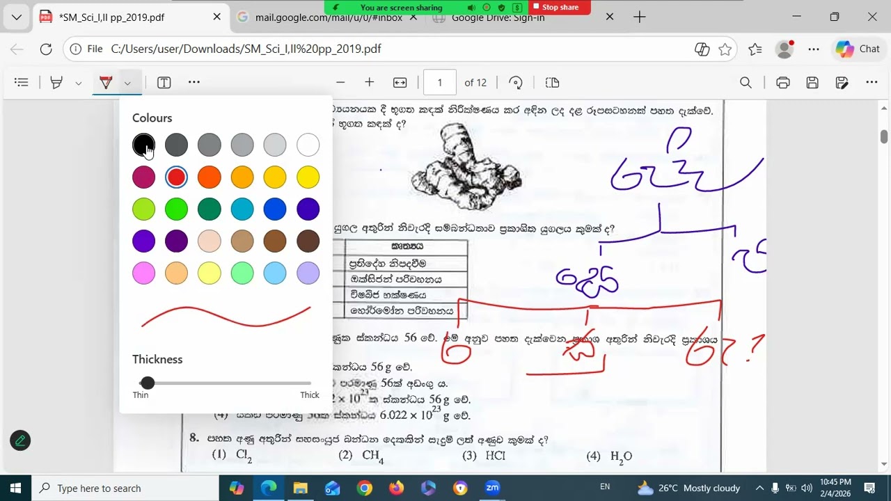 2019 -Sinhala Medium O/L Past paper Duscssion-part -01