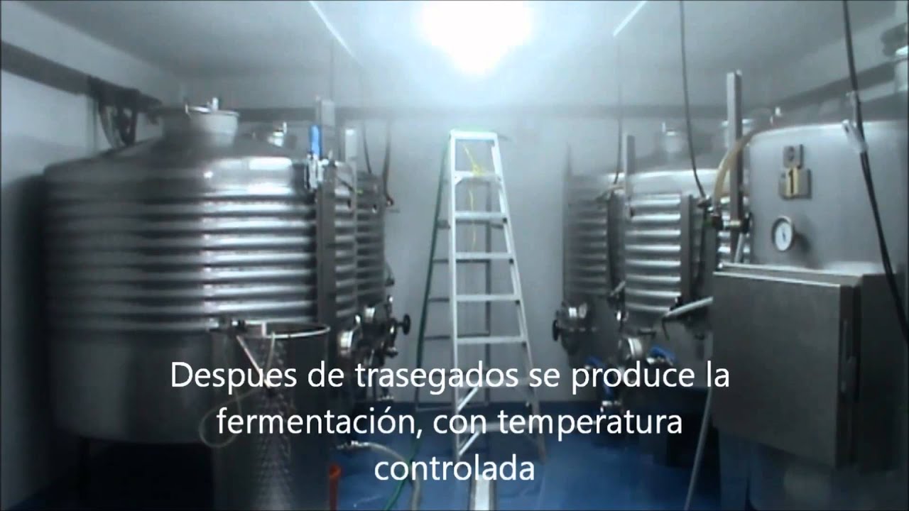 Vendimia y elaboracion txakoli Harizpe