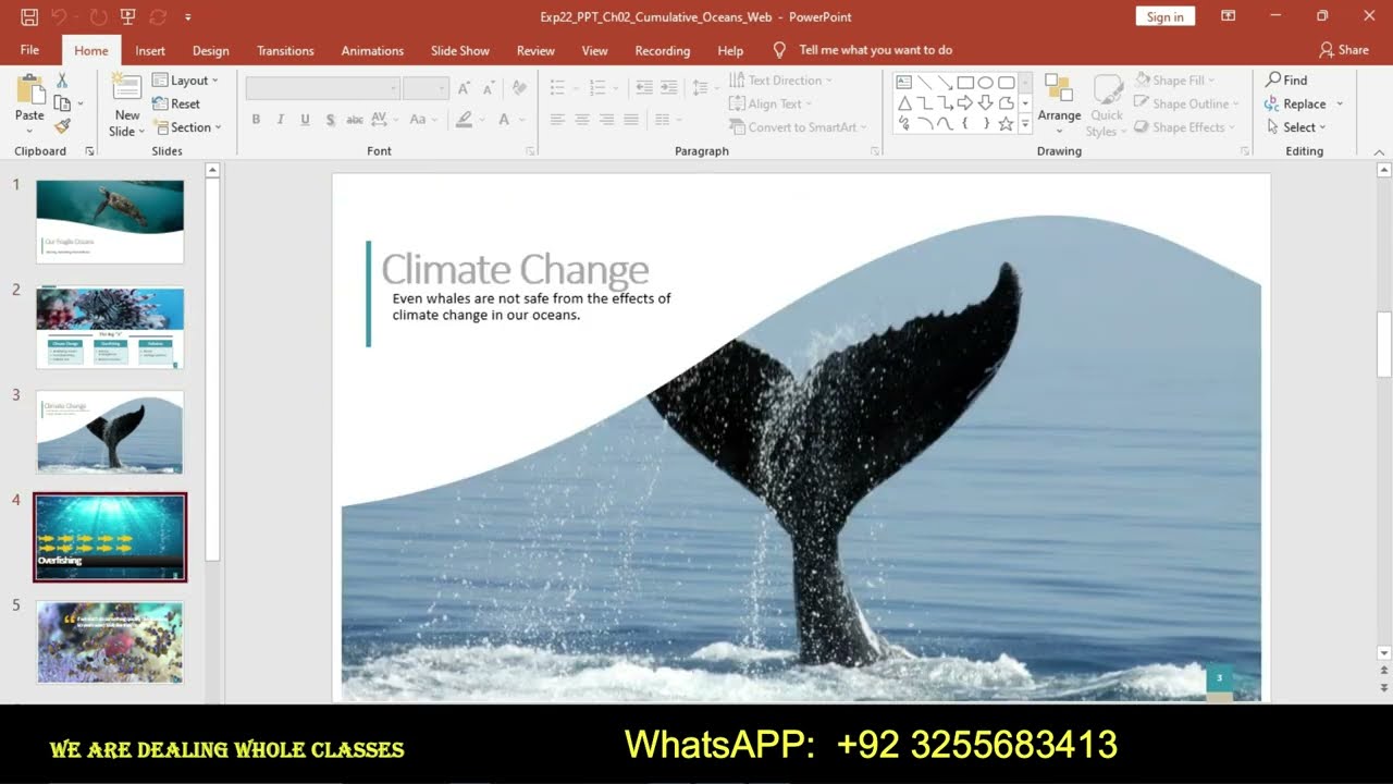 Exp22_PowerPoint_Ch02_Cumulative_Science_Club | Exp22 PowerPoint Ch02 Cumulative Science Club