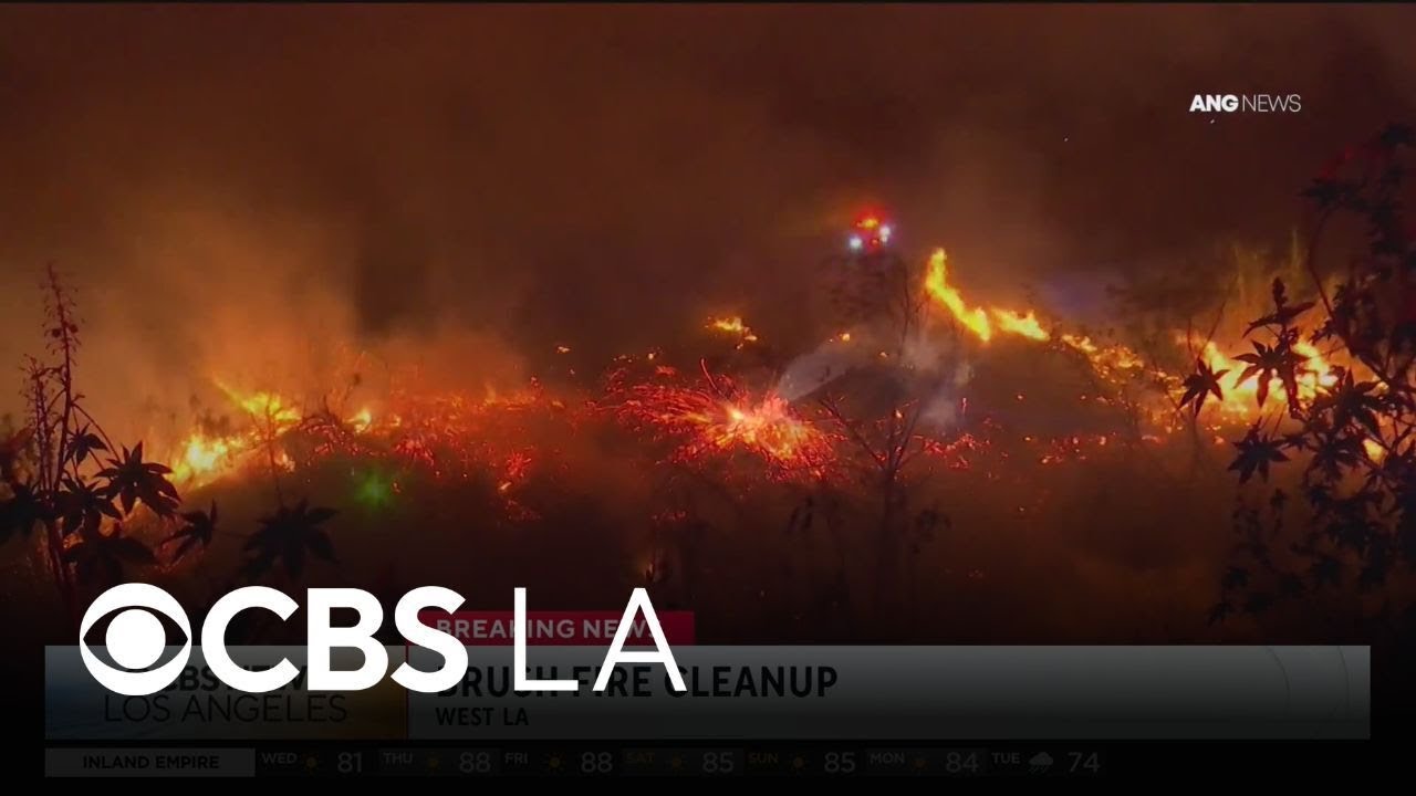 Early morning West Los Angeles brush fire extinguished by LAFD