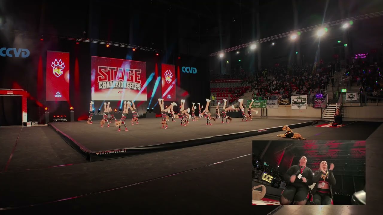 Sparkle Cats - Stage Championship 2026