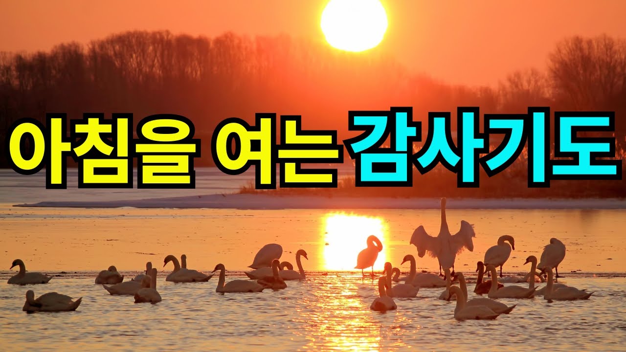 아침을 여는 감사기도 | 아침기도 |감사기도 | 아침을 여는 기도 |하루를 여는 기도 | 아침시작기도 | 하루를 시작하는 아침감사기도 | 1시간 기도