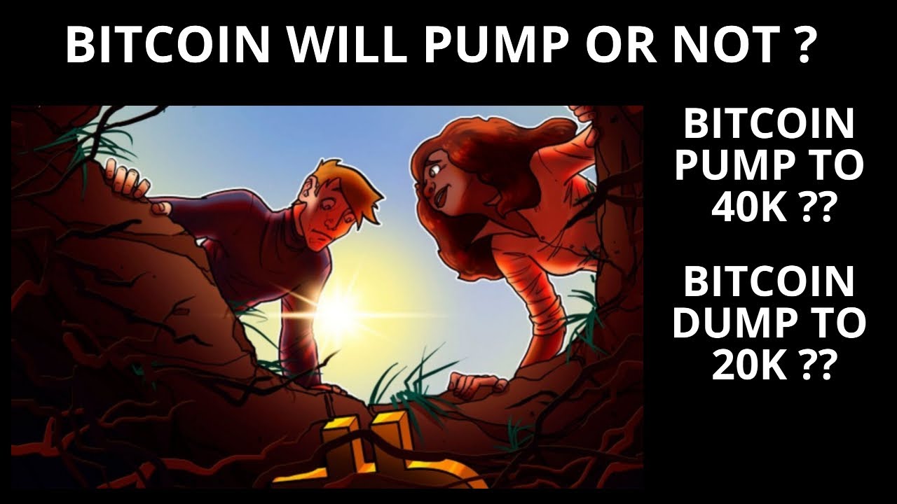 Bitcoin And Altcoins Update : Bitcoin Crash Over ?? ,Soon Pump Coming ?
