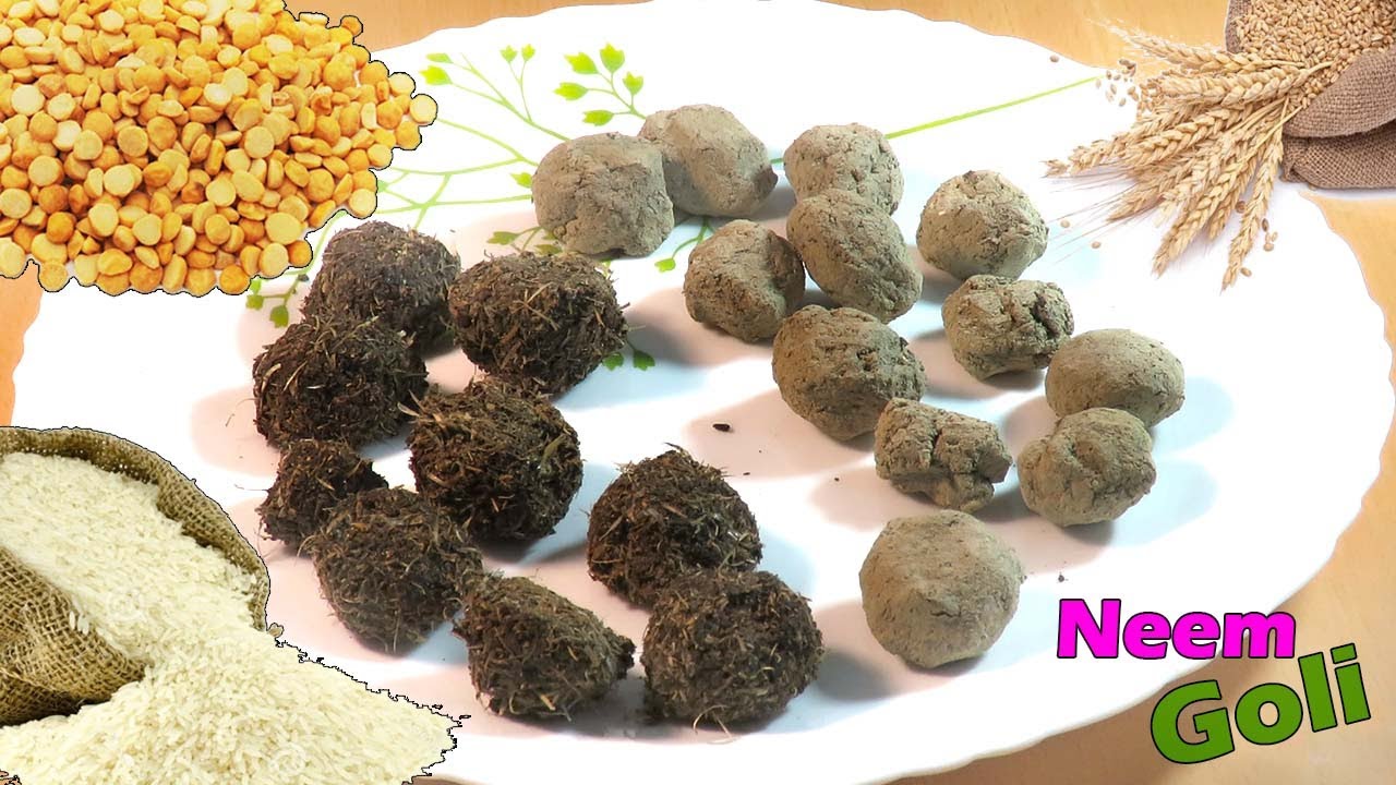 Neem Ki Goli | दाल, चावल और गेंहू को कीड़ो से बचाने के लिए ये तरीका अपनाएँ। सिर्फ दो उपाए 