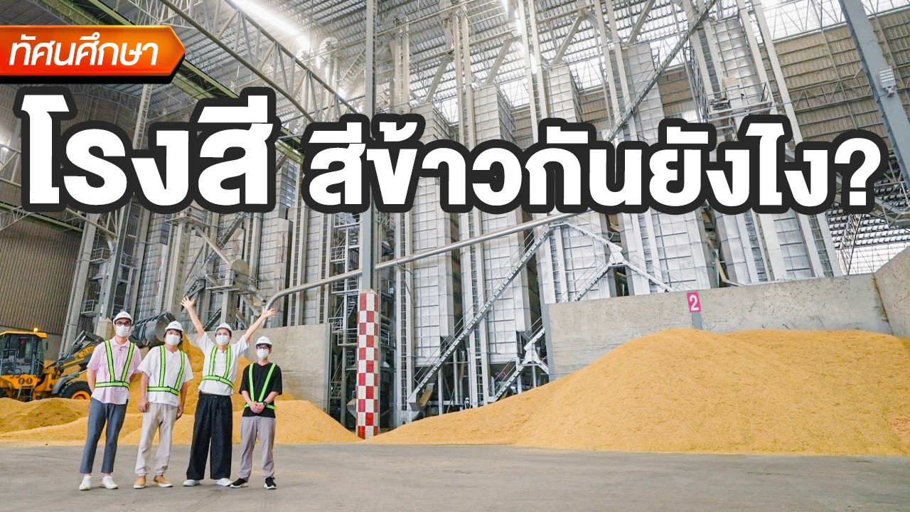 โรงสีสีข้าวกันยังไง? - ทัศนศึกษา [TH/ENG SUB]