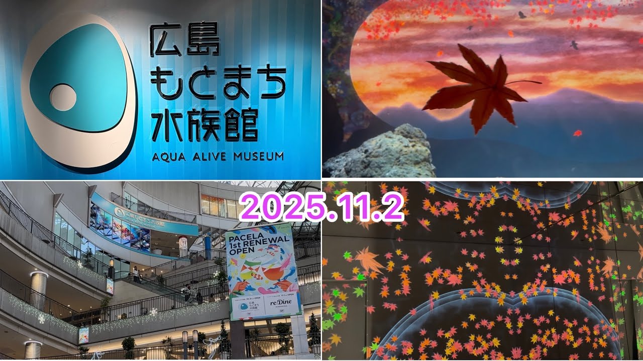 【広島】空間演出型アクアリウム「広島もとまち水族館」✨オープン3日目！