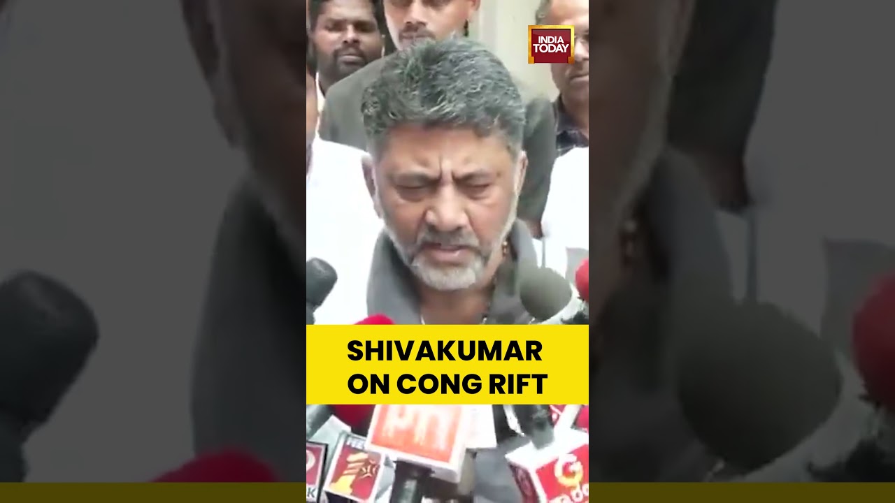 Karnataka: Deputy CM D K Shivakumar Seeks Report On Congress MLAs&rsquo; Delhi Visit