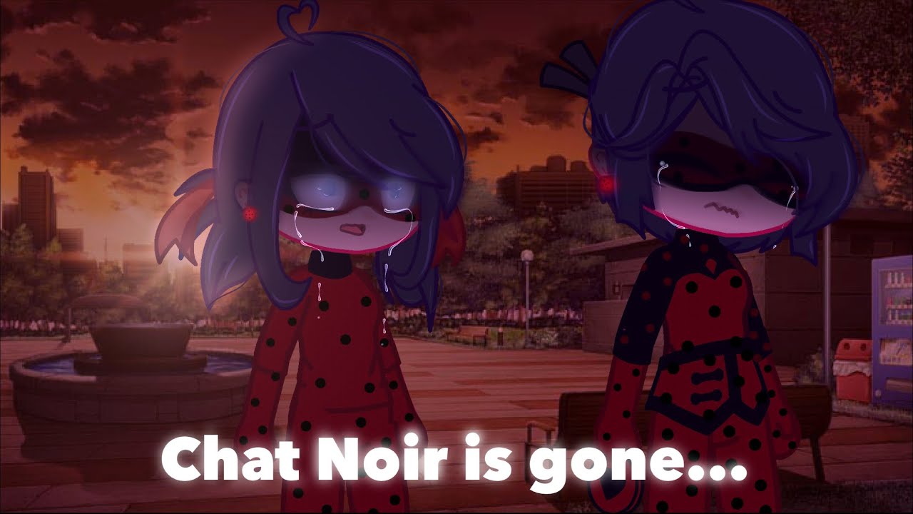 Future LB and CN//ORIGINAL STOYRLINE: Chat Noir is gone...//Meme//MLB