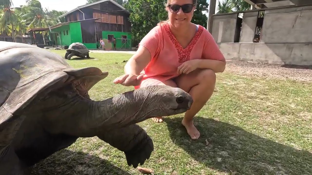 Curieuse Island & St Pierre snorkeling, giant Aldabra tortoises, Seychelles