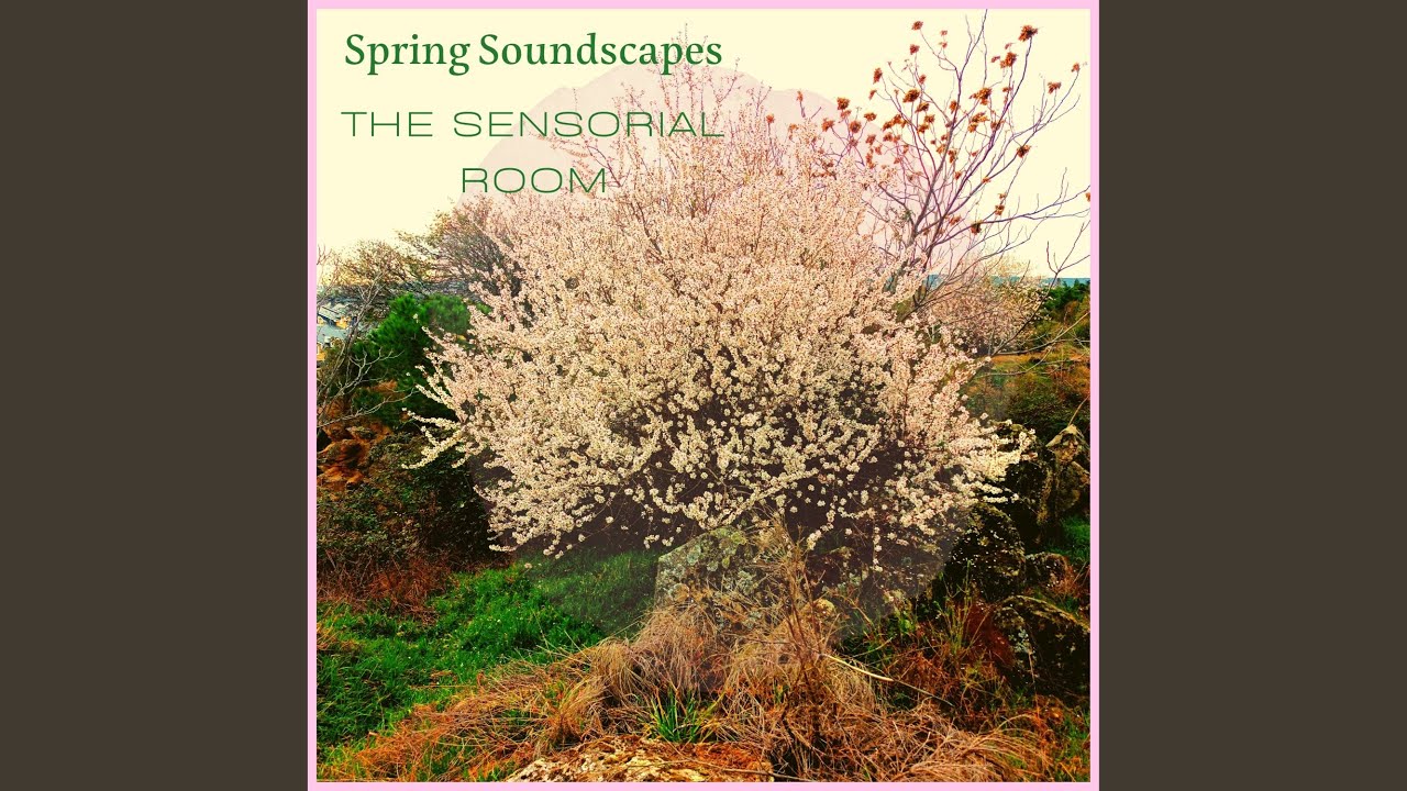 Spring Soundscapes II