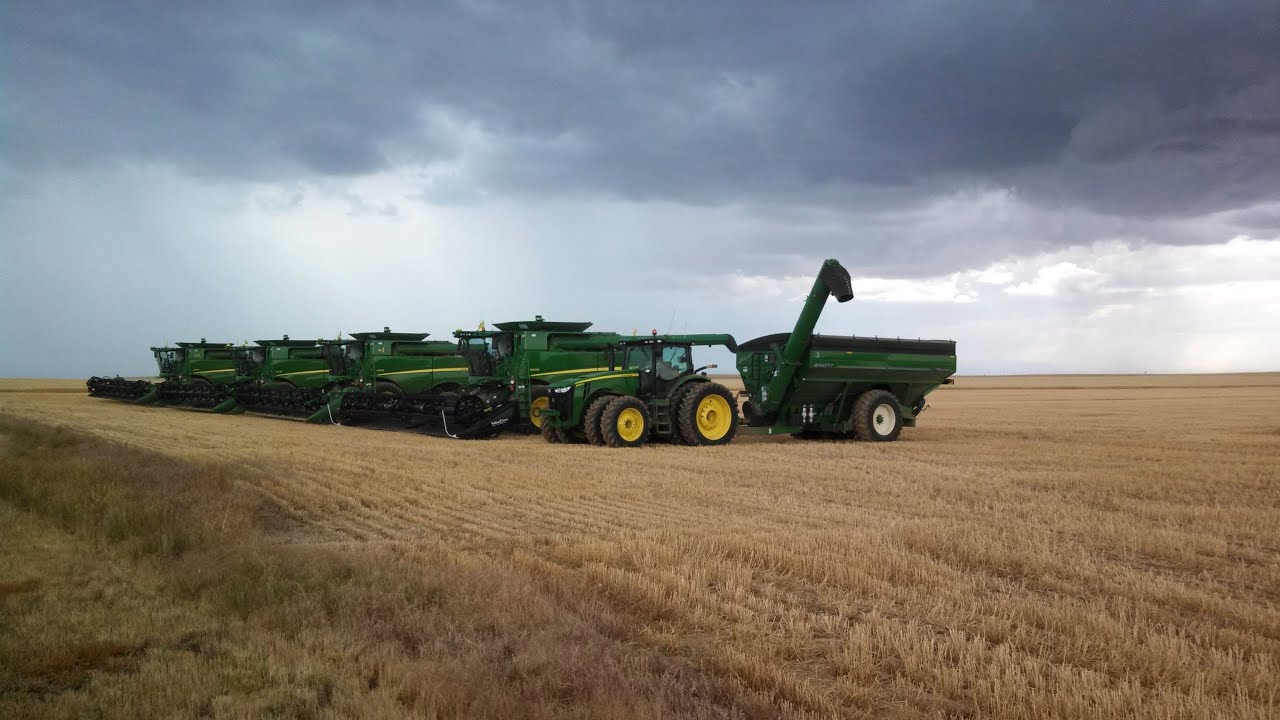 Schroeder Harvesting 2013