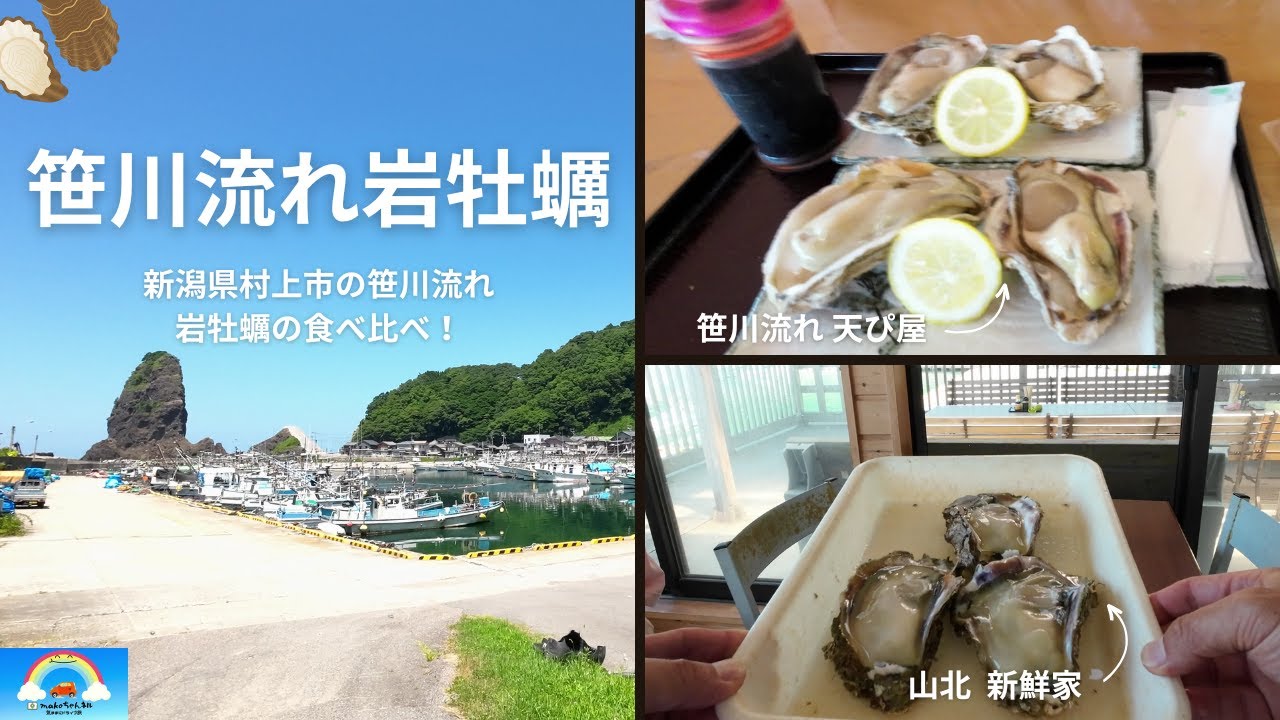 【村上市】岩ガキの食べ比べをしに、笹川流れまで行って来ました。