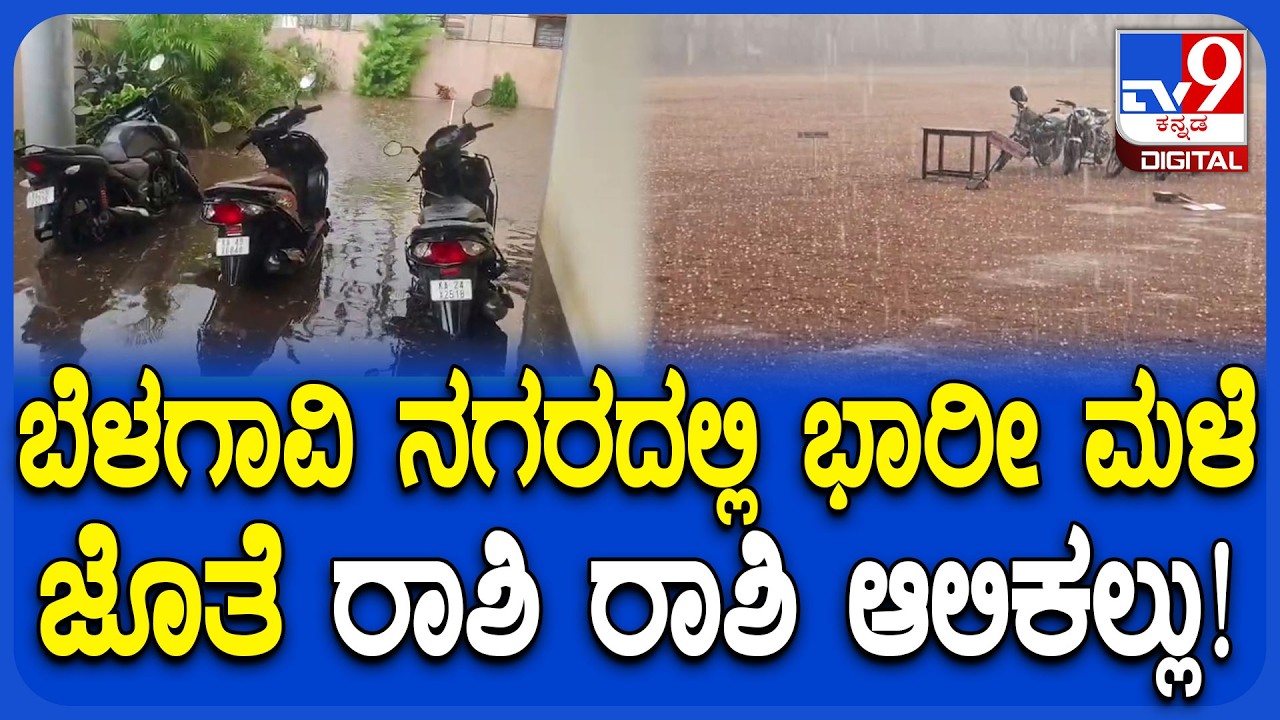 Belagavi Heavy rain: ದಿಢೀರ್ ಆಲಿಕಲ್ಲು ಸಹಿತ ಮಳೆ ಅಬ್ಬರಕ್ಕೆ ವಾಹನ ಸವಾರರ ಪರದಾಟ | #TV9D