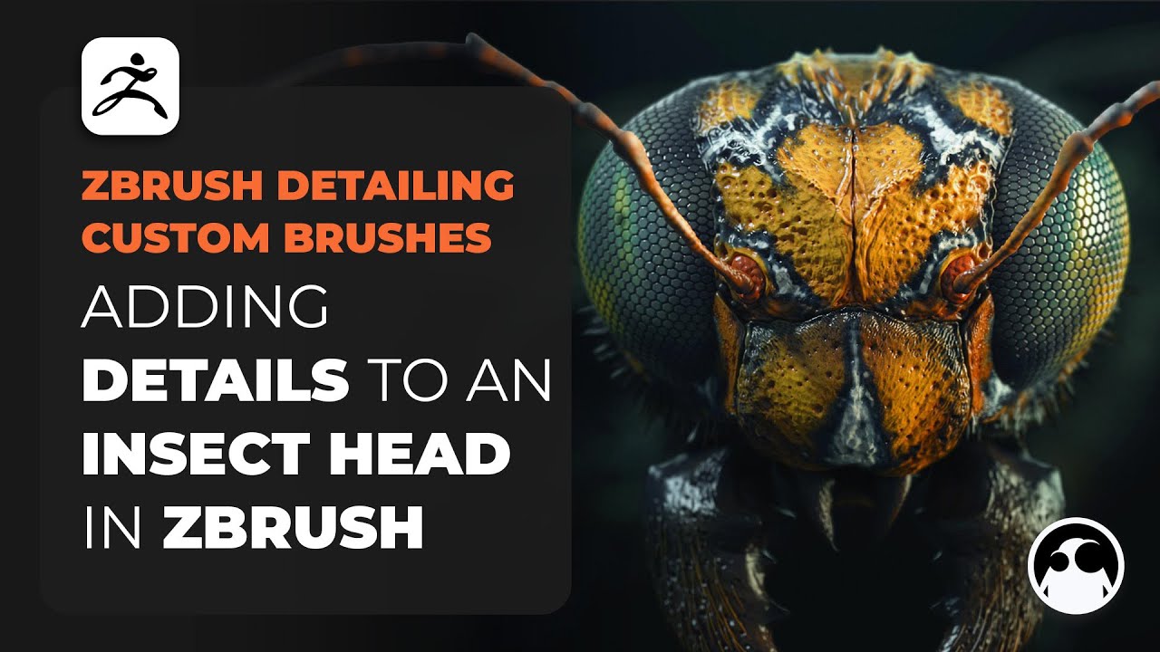 Detailing an Insect Head in ZBrush with Custom Brushes