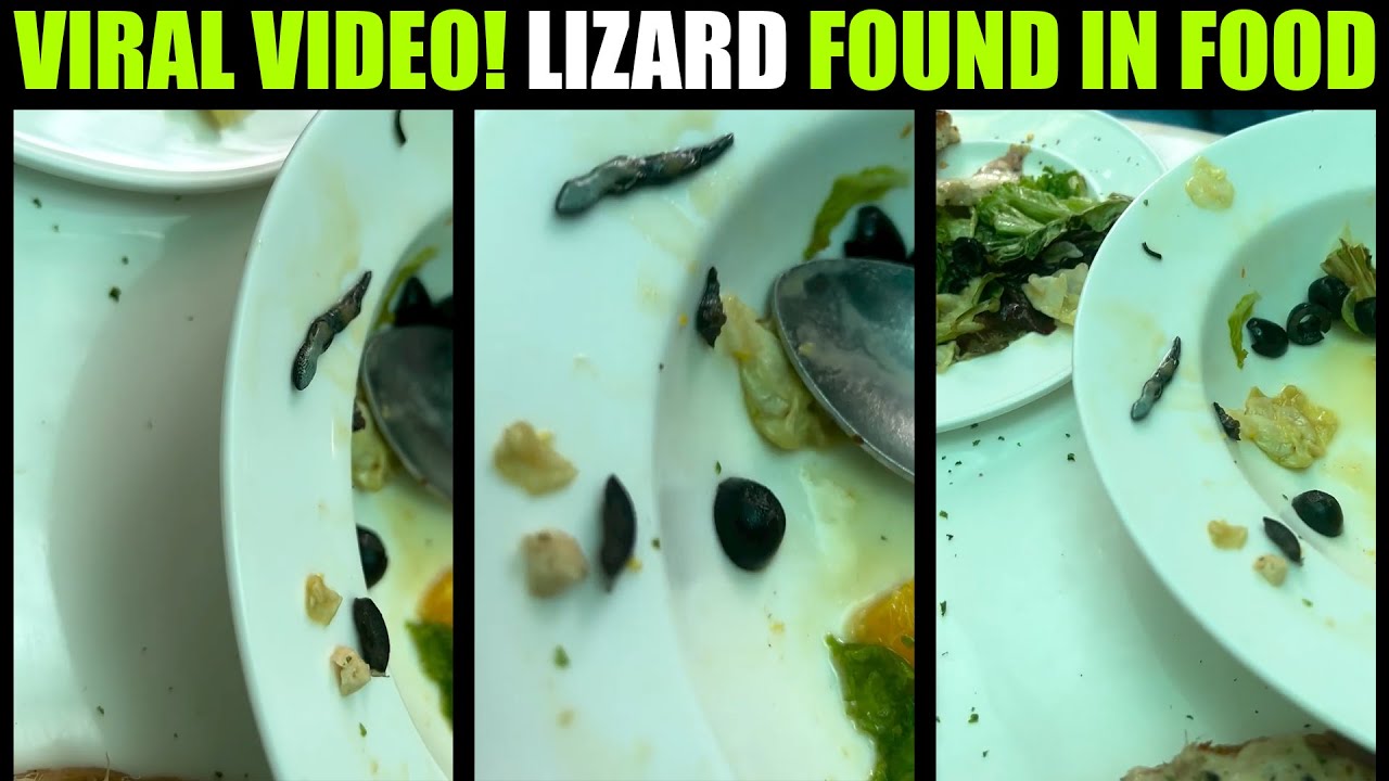 Viral Video! Lizard Found in Food #shorts