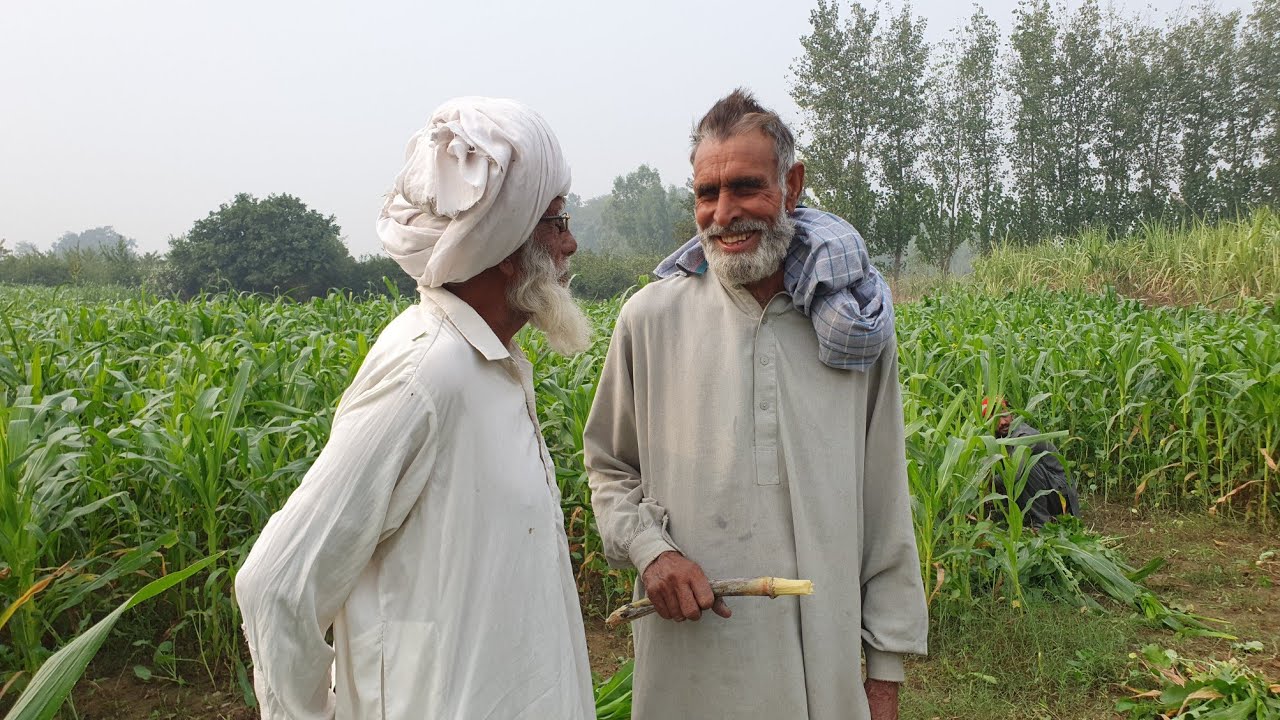 Purane Logon Ki Purani Baten | Village Life In Pakistan