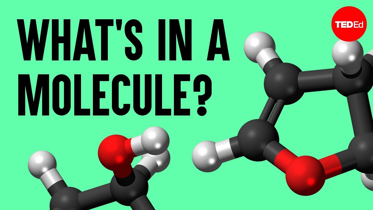 The science of macaroni salad: What's in a molecule? - Josh Kurz