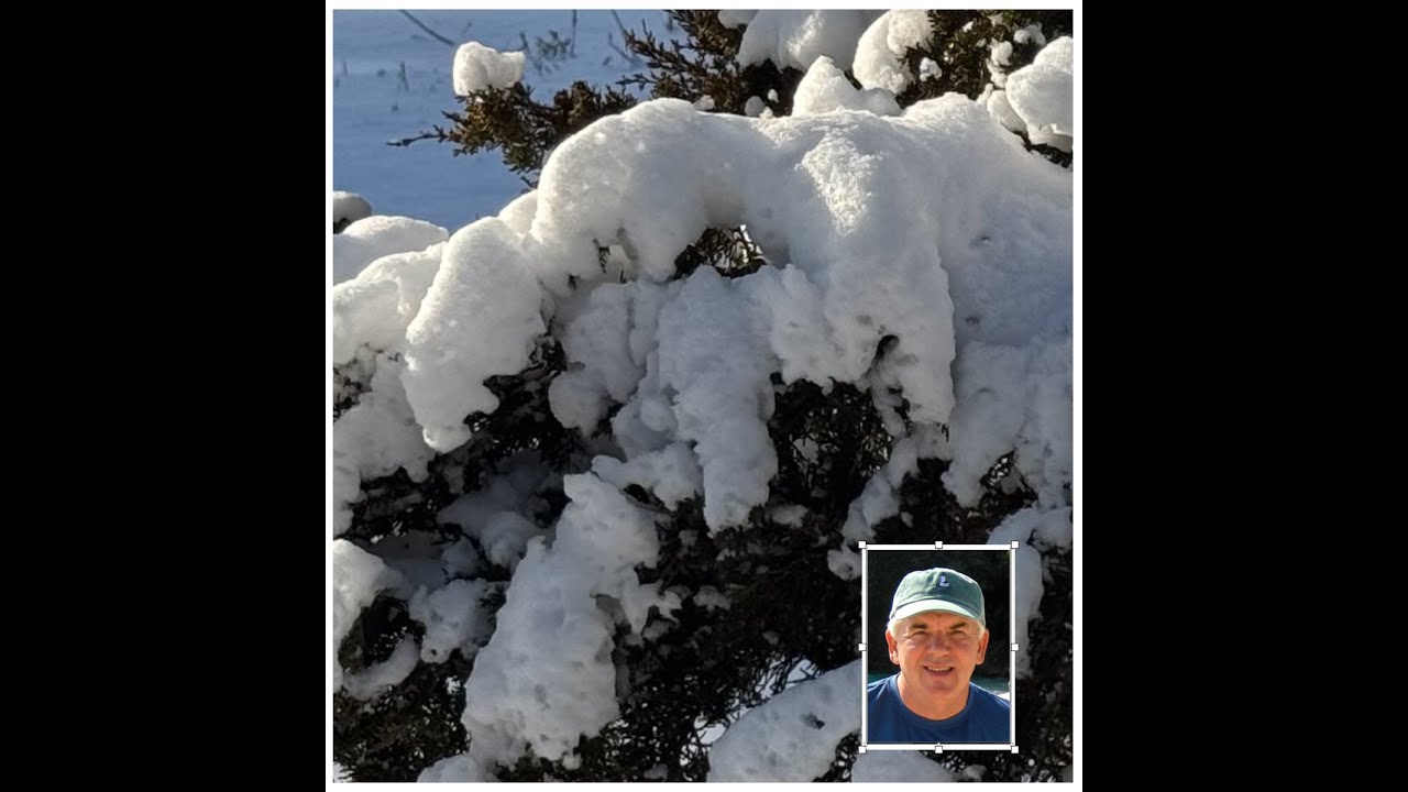 «Заснеженный пейзаж: простые акварельные упражнения» с Полом Джорджем.