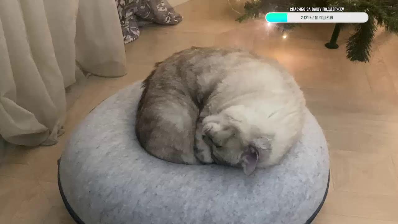 Добрый вечер
