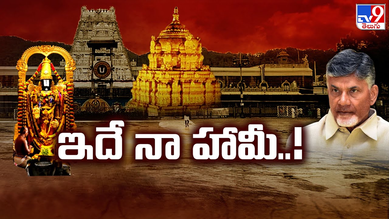 Tirupati Laddu : ఇదే నా హామీ..!! : CM Chandrababu - TV9