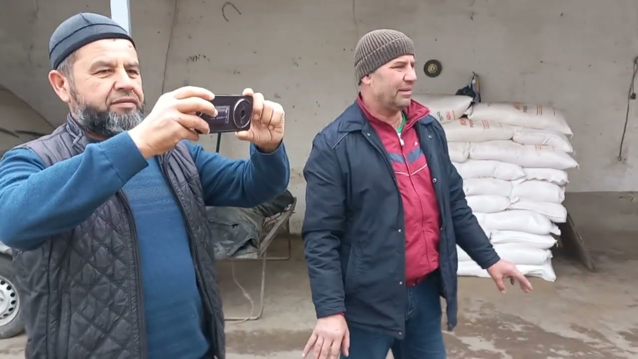 ГЗАРИ ЗАВОДИ Ш. КУЛОБ ШВЕДОИ БРЕНДА ГИРИФТ. 12 февраля 2026 г.
