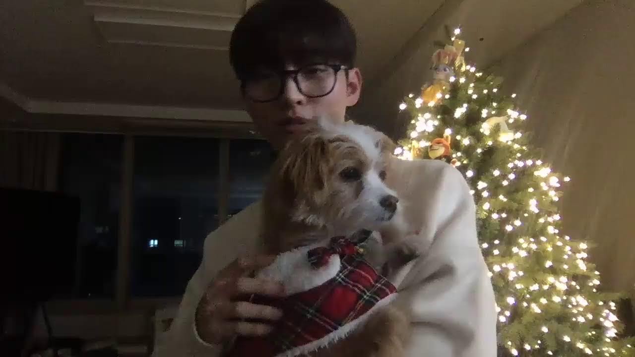 해피홀리데이