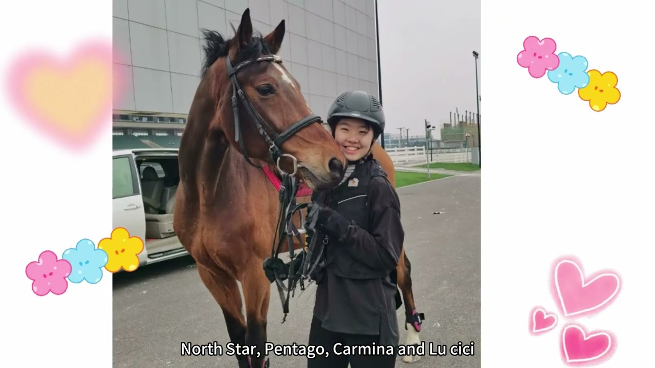 My Equestrian Journey