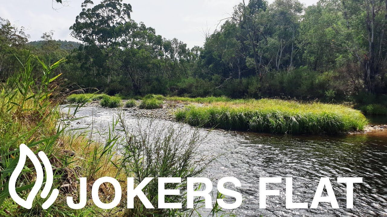 Jokers Flat Campground  - Alpine National Park, Victoria